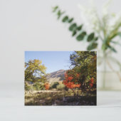 道路に沿って – 草原 ポストカード (スタンド正面)