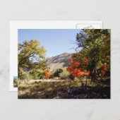 道路に沿って – 草原 ポストカード (正面/裏面)