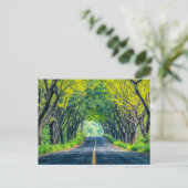 道路の密樹路地 シーズンポストカード (スタンド正面)