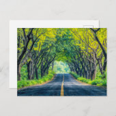 道路の密樹路地 シーズンポストカード (正面/裏面)