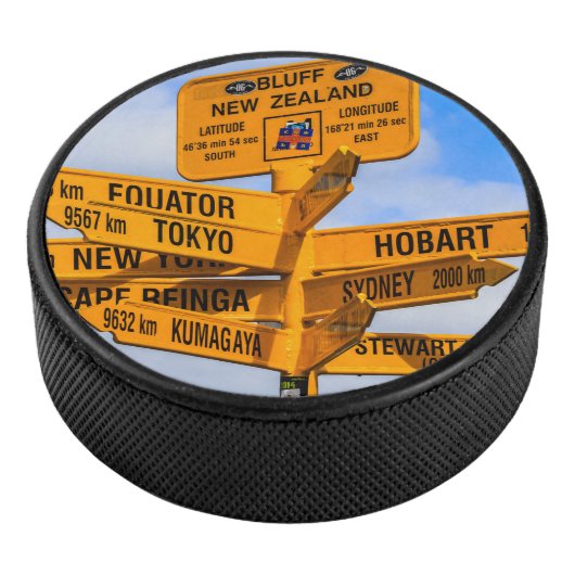 道路の終点 アイスホッケーパック (3/4)