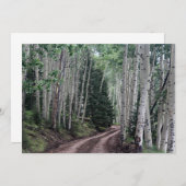 道路を通る樺の木 ノートカード (正面/裏面)