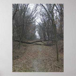 道路上の障害 ポスター