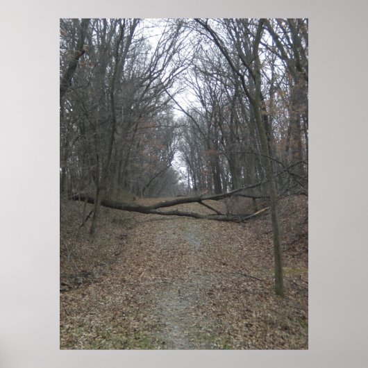 道路上の障害 ポスター (正面)