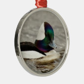 道魅力的頭の鴨が通る メタルオーナメント (右)