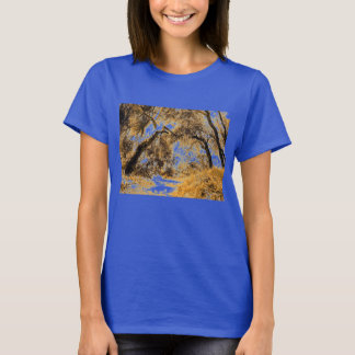 道 Tシャツ