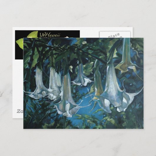 達良 ポストカード (正面/裏面)