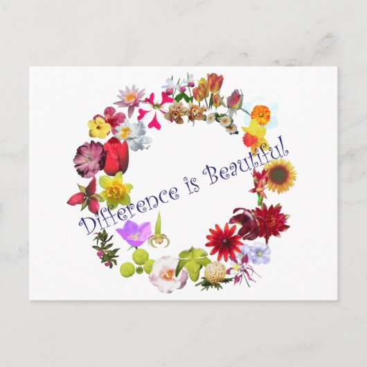 違いは美しい ポストカード (正面)