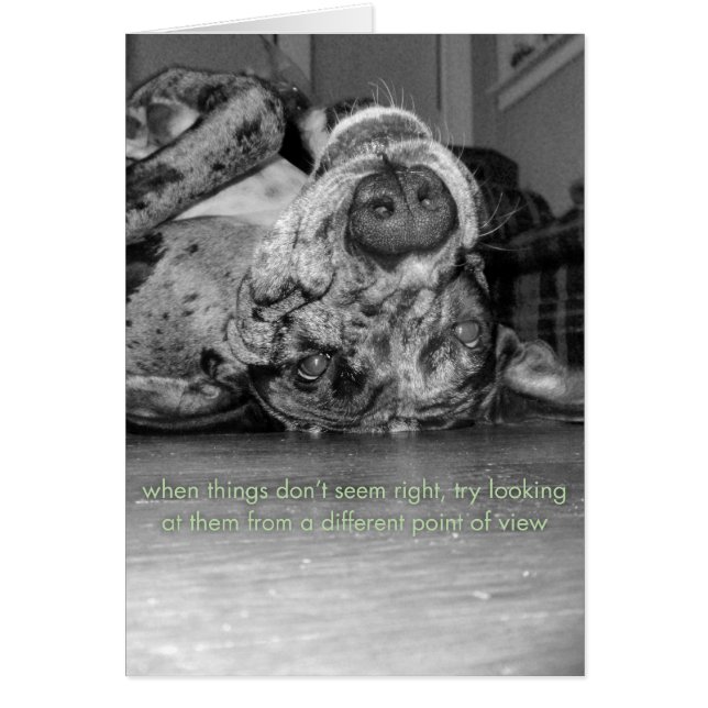 違うな視点 (正面)