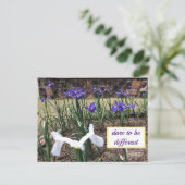 違う勇気を持ったアイリスのはがき ポストカード (スタンド正面)