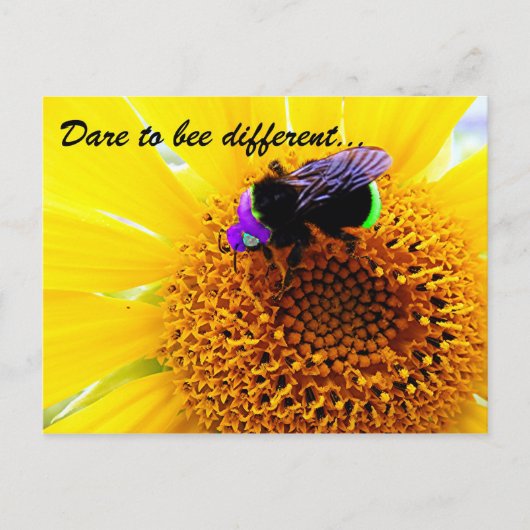 違う ポストカード (正面)