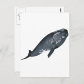 違反する準備ができている ポストカード (正面/裏面)