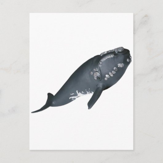 違反する準備ができている ポストカード (正面)