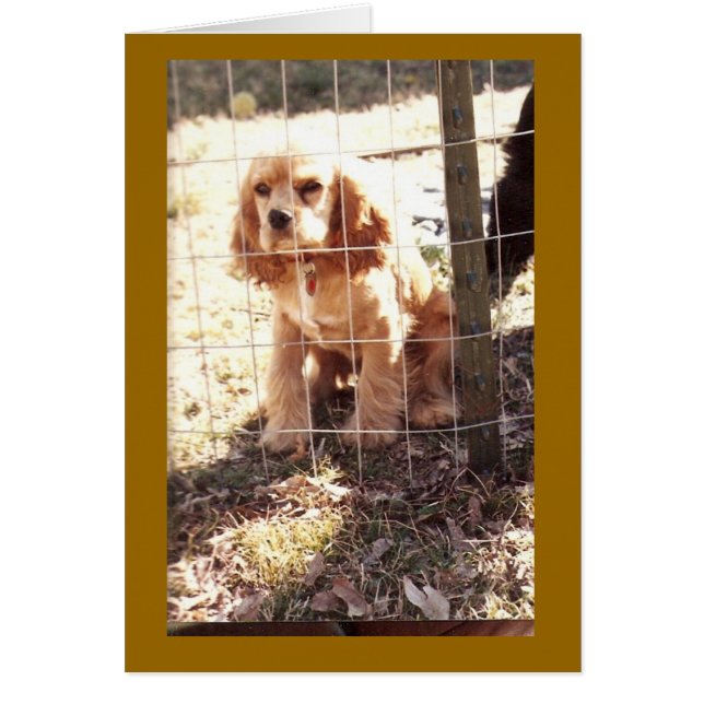 違法の少し (正面)