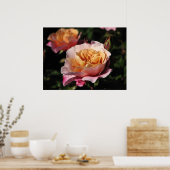 遠いドラム低木バラ143 ポスター (キッチン)