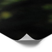 遠いドラム低木バラ143 ポスター (角)