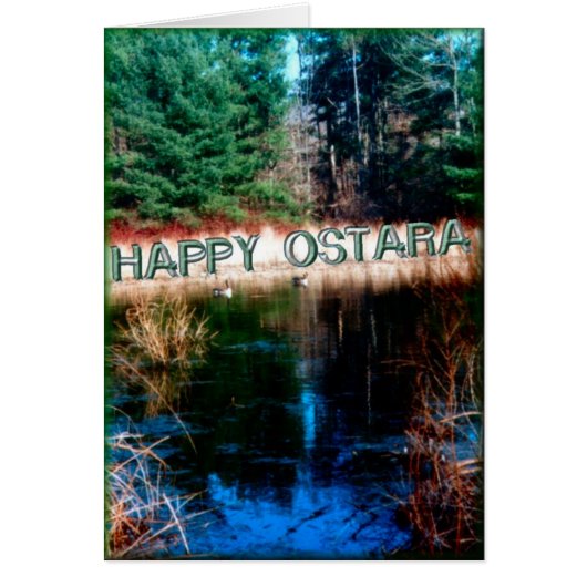 遠い泳ぐ人 (正面)