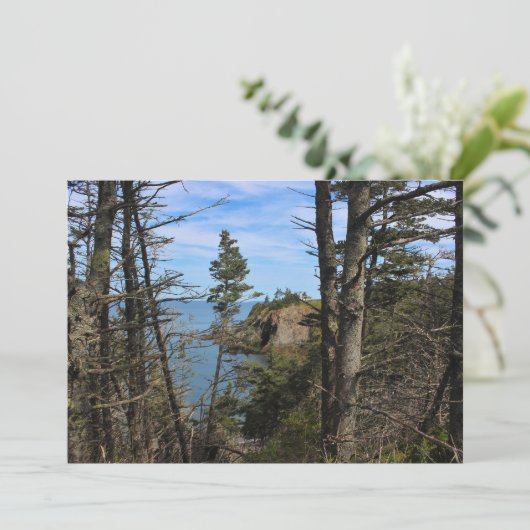 遠い洞窟 招待状 (スタンド正面)