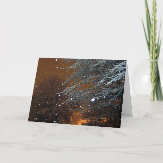 遠くからのライト シーズンカード (正面)