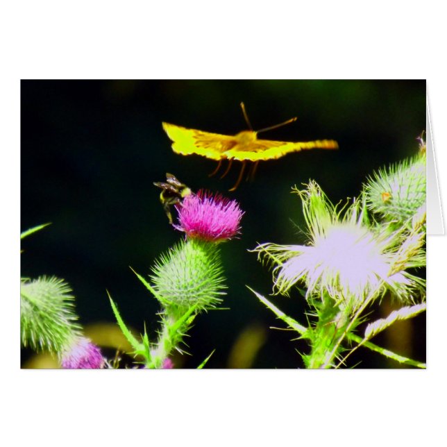 遠くになはえ (正面横)