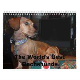 遠くににの世界で最も最高のなダックスフント見ている犬 カレンダー