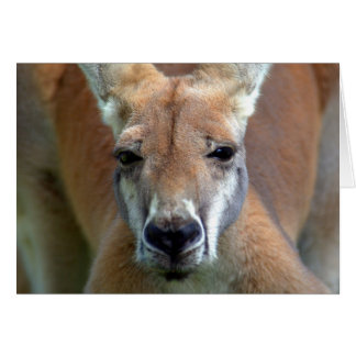 遠くにに行って下さい