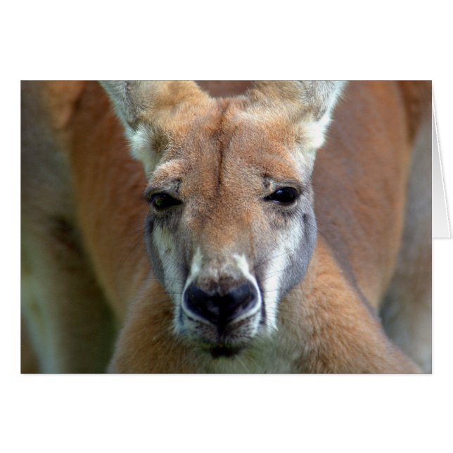 遠くにに行って下さい (正面横)