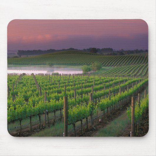 遠くの霧の中の日の出の色 マウスパッド (正面)