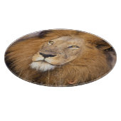 遠くを見つめるライオンのポートレート カッティングボード (角)