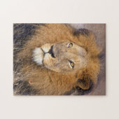 遠くを見つめるライオンのポートレート ジグソーパズル (横)