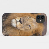 遠くを見つめるライオンのポートレート Case-Mate iPhoneケース (裏面(横))