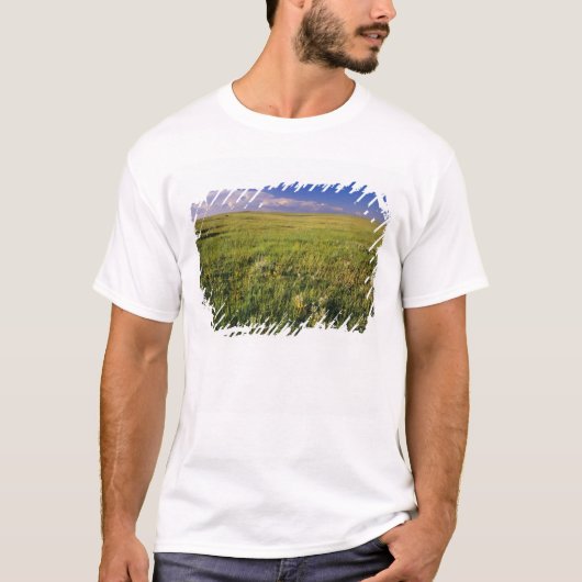 遠く北東のショートグラスプレーリー Tシャツ (正面)