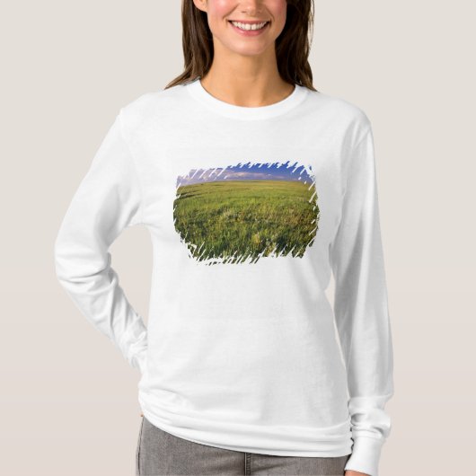 遠く北東のショートグラスプレーリー Tシャツ (正面)