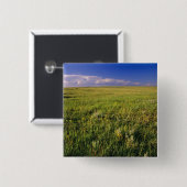 遠く北東部の短い草原 缶バッジ (正面&裏面)