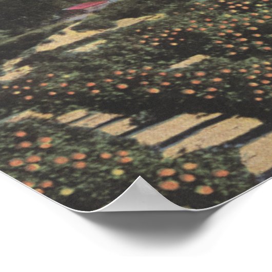 遠く離れたバルディ山とオレンジグローブ ポスター (角)