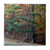 遠く離れた秋の鹿 タイル (正面)