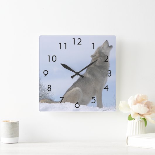 遠ぼえしている冬のオオカミ スクエア壁時計 (ホーム)