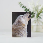 遠ぼえのオオカミの郵便はがき ポストカード (スタンド正面)