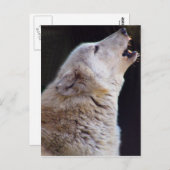 遠ぼえのオオカミの郵便はがき ポストカード (正面/裏面)