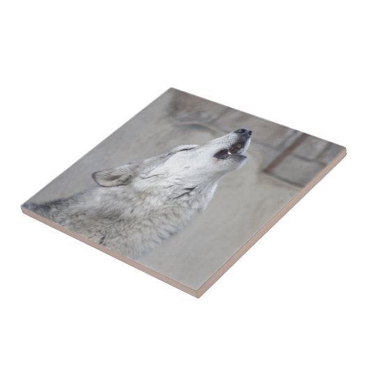 遠ぼえのオオカミ タイル (側面)