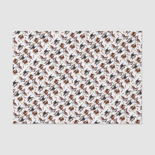 遠ぼえのバセットハウンドはティッシュペーパーの後をつけます 薄葉紙 (正面)