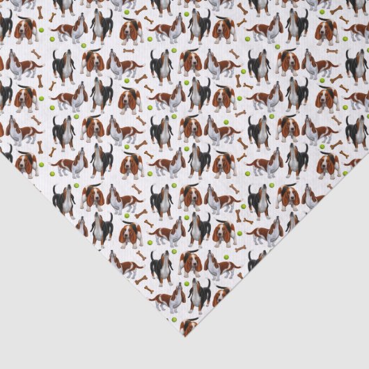 遠ぼえのバセットハウンドはティッシュペーパーの後をつけます 薄葉紙 (詳細)