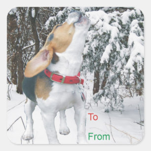 遠ぼえのビーグル犬のSnowyのクリスマスのギフトのラベルのステッカー スクエアシール