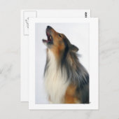 遠ぼえ犬 ポストカード (正面/裏面)