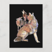 遠吠えするコヨーテの群れ、動物、自然、野生 ポストカード (正面)