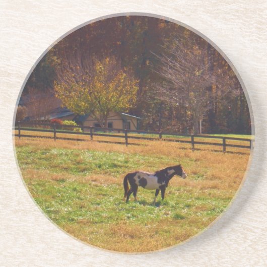 遠絵を描く離れた馬 コースター (正面)