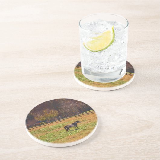 遠絵を描く離れた馬 コースター (側面)