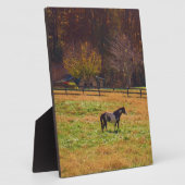 遠絵を描く離れた馬 フォトプラーク (側面)