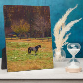 遠絵を描く離れた馬 フォトプラーク (側面)