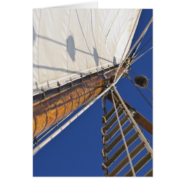 遠近法のマスト (正面)